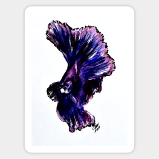 Art Doodle No. 35 Betta Fish Sticker